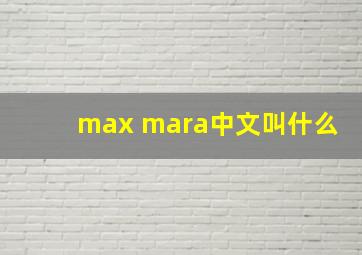 max mara中文叫什么